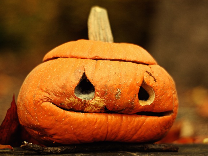 How To Keep Your Carved Pumpkins From Rotting On Halloween