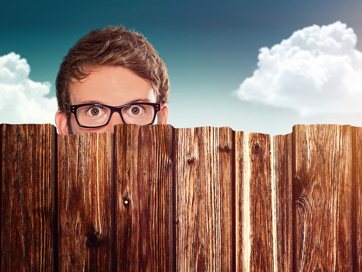 a pesky neighbor