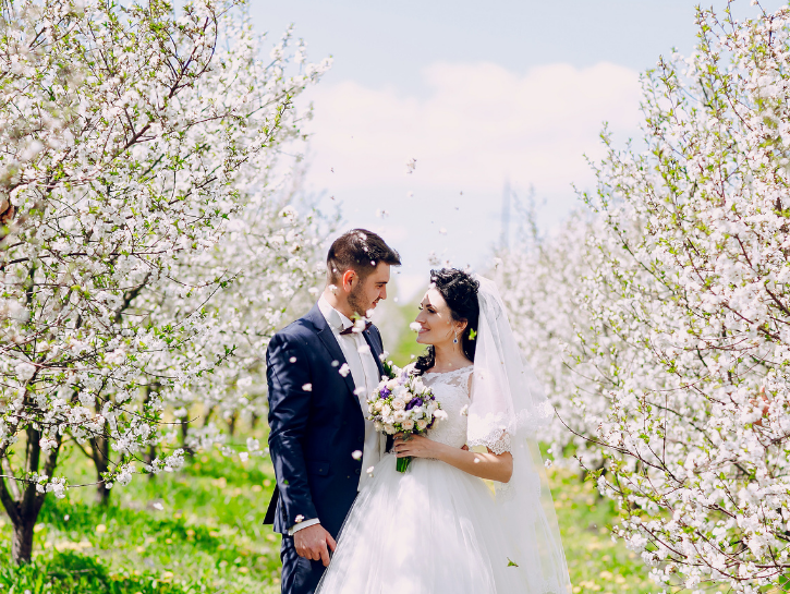 Bride and groom standing between rows of blooming cherry trees and cherry blossoms
