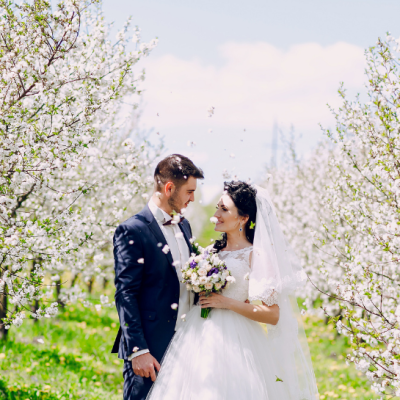Bride and groom standing between rows of blooming cherry trees and cherry blossoms