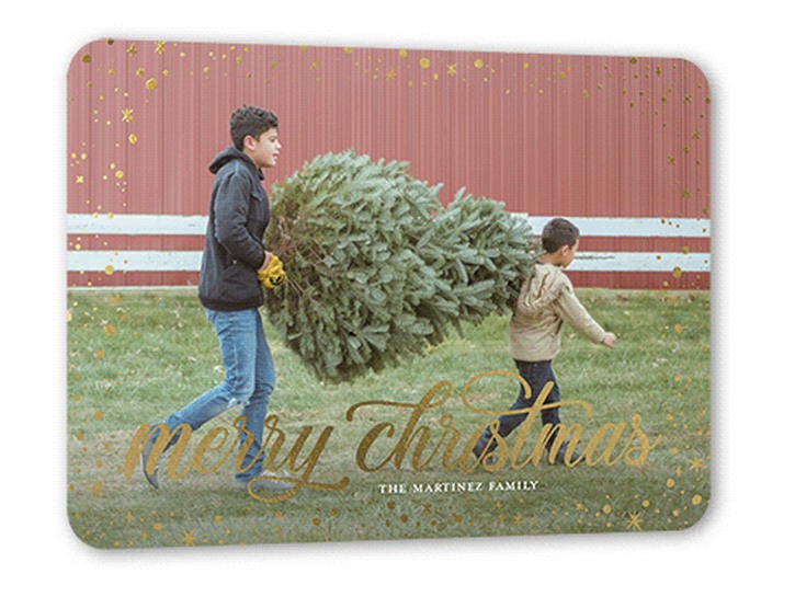 children carrying tree