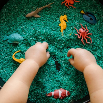 Close up of toddler hands playing with the blue rice in an ocean theme sensory tray play set up for toddler to explore