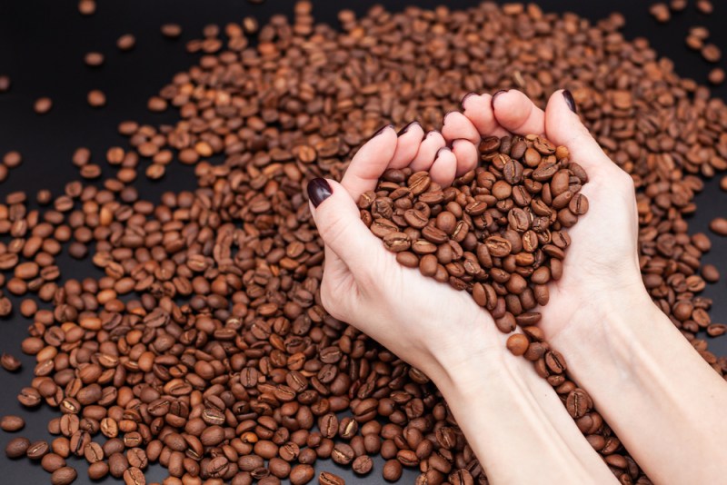 coffee beans in hands over a hill of coffee