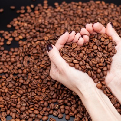 coffee beans in hands over a hill of coffee
