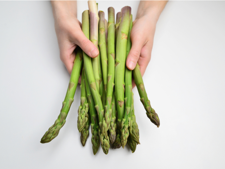 Fresh Asparagus. Green Asparagus. Asparagus in hands of a woman