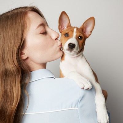 Handsome redhead hair young female hugging and kissing her puppy basenji dog. Love between dog and owner. Isolated on white background.