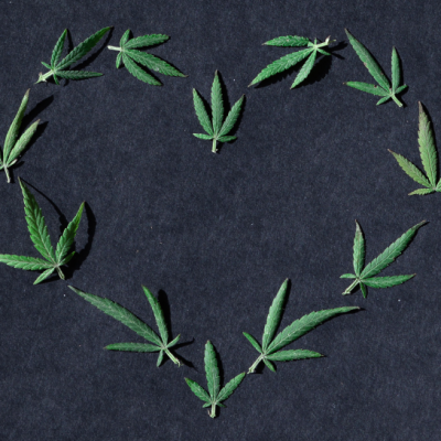 heart of hemp
