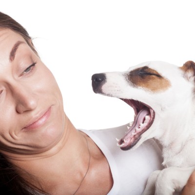 How to Get Rid of Your Dog's Bad Breath