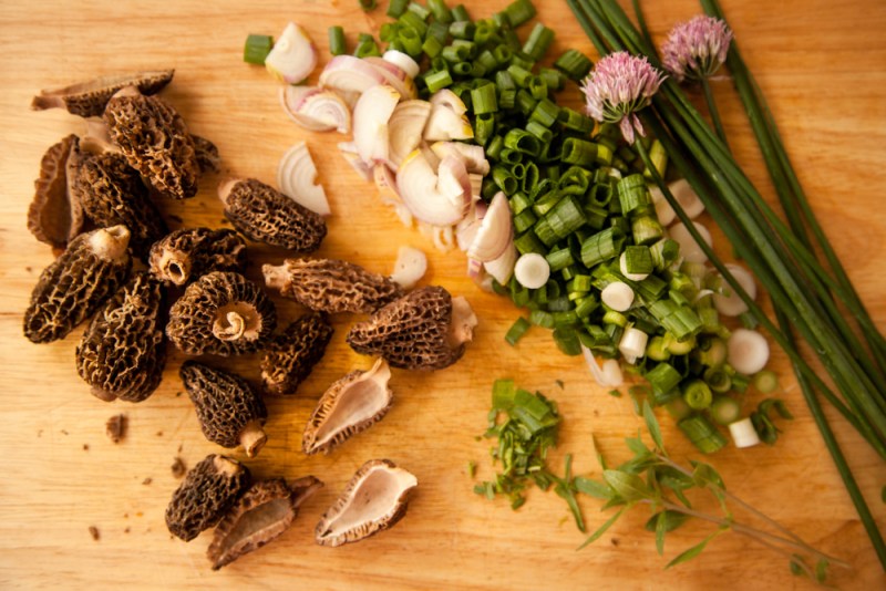 Morels and onions