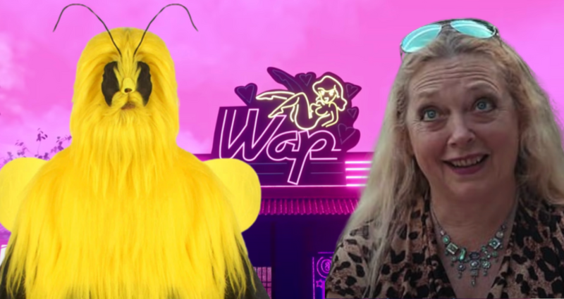 murder hornet, wap sign, carole baskin