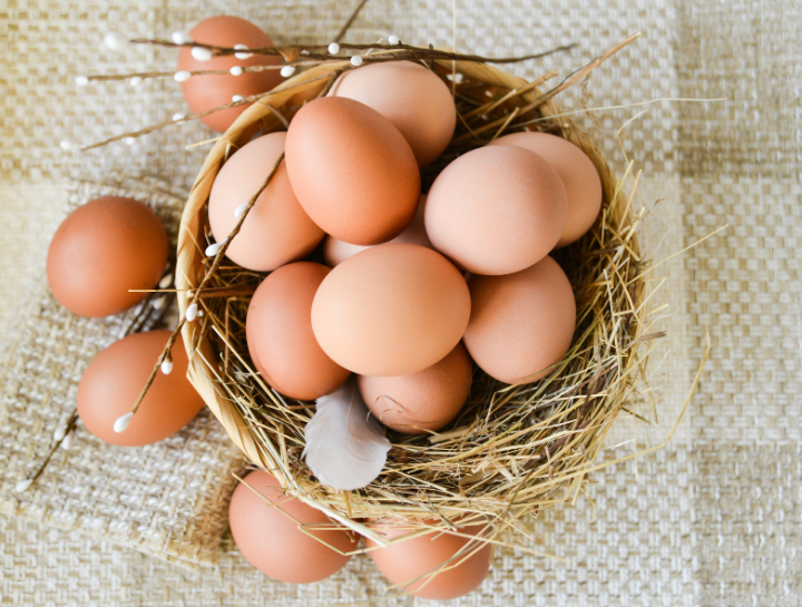 nest full of brown eggs