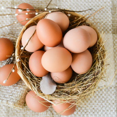 nest full of brown eggs