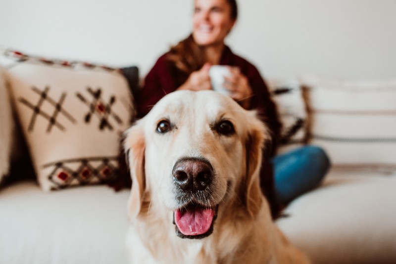 Relaxed woman during snack having hot tea at home. Accompanied by her adorable dog during the quarantine period caused by the pandemic. Lifestyle