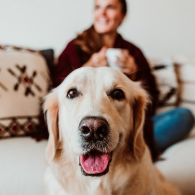 Relaxed woman during snack having hot tea at home. Accompanied by her adorable dog during the quarantine period caused by the pandemic. Lifestyle