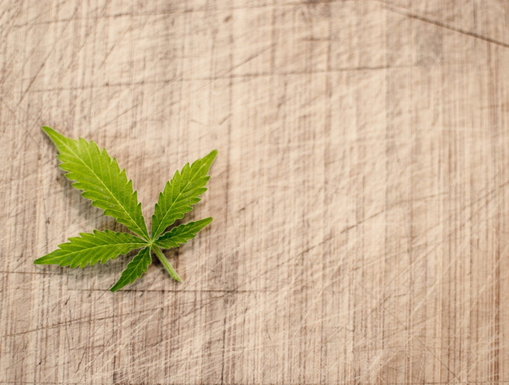 single cannabis leaf