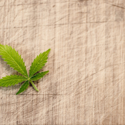 single cannabis leaf