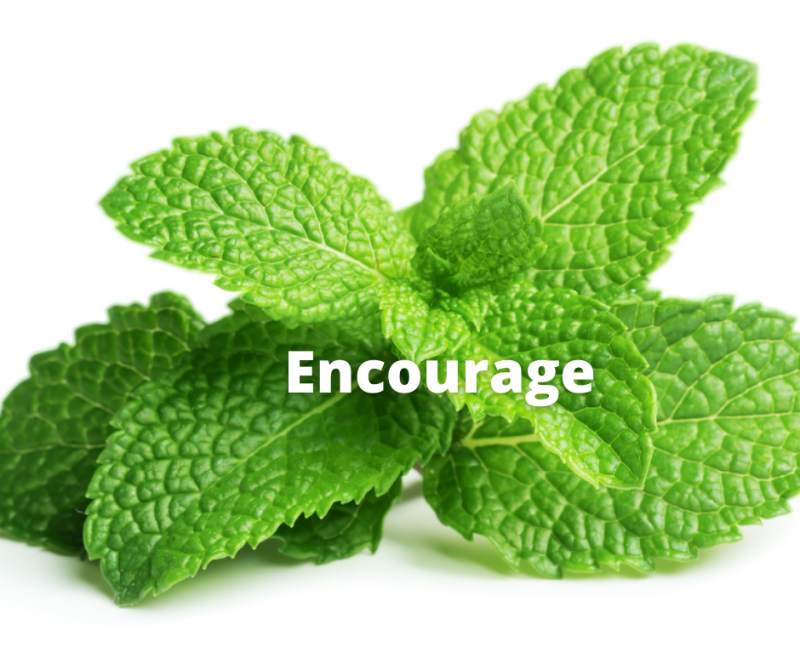 The word "encourage" in white on a photo of green mint