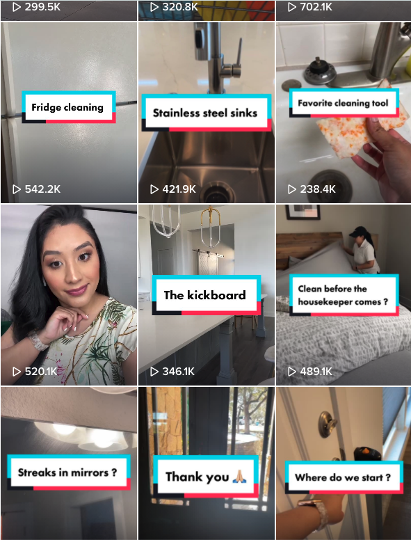 Vanesa Amaro TikTok page