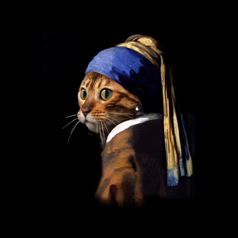 Vermeer spoof Girl with a pearl earring Puss with a pearl earring