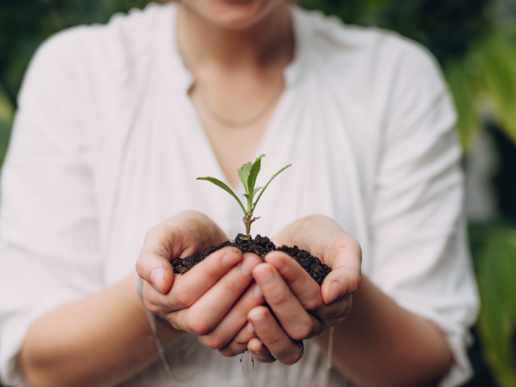 Woman holding small plant in dirt