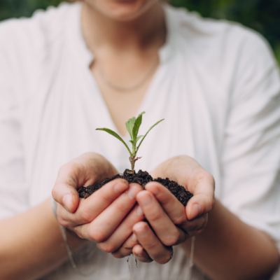 Woman holding small plant in dirt