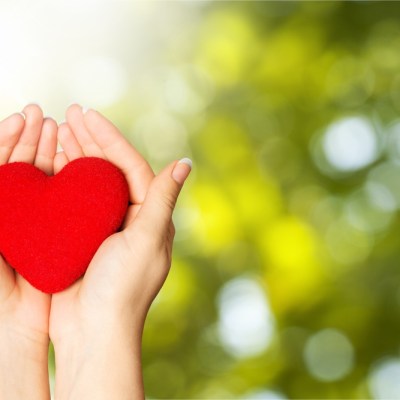 woman's hands holding red heart