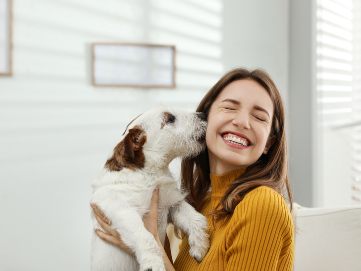 Young woman with her cute Jack Russell Terrier at home