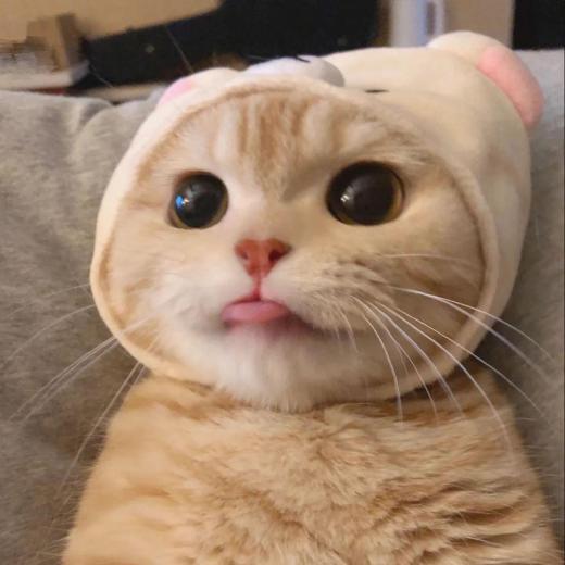 pic